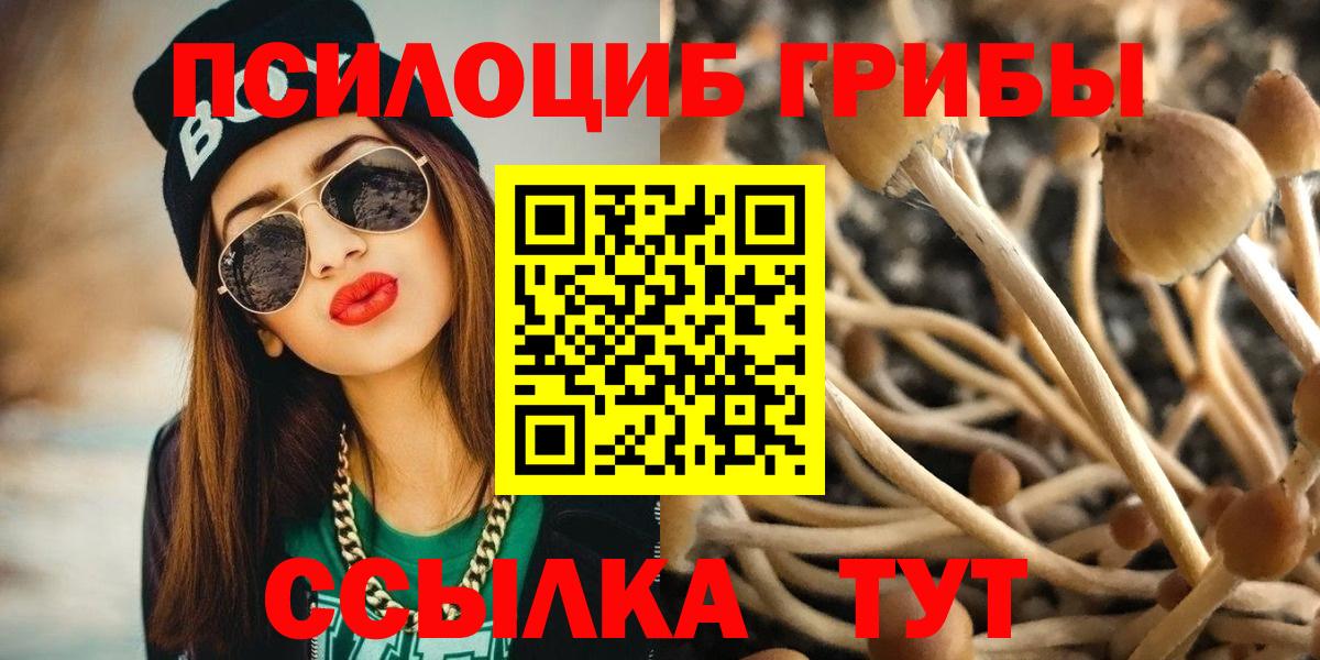 Галлюциногенные грибы мухоморы Артёмовский